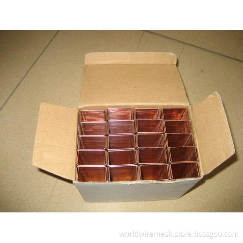 Carton Staples Ly004